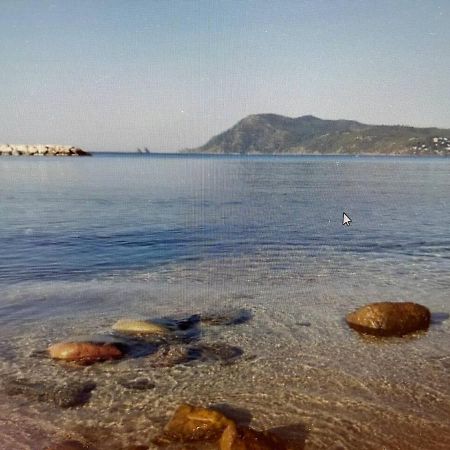 Pin Rollan Beach Saint-Mandrier-sur-Mer Extérieur photo